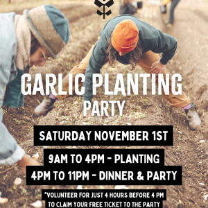 Garlic Planting Party
