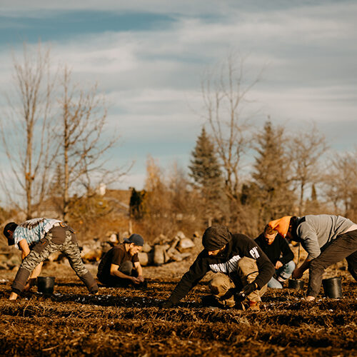 Construire une communauté