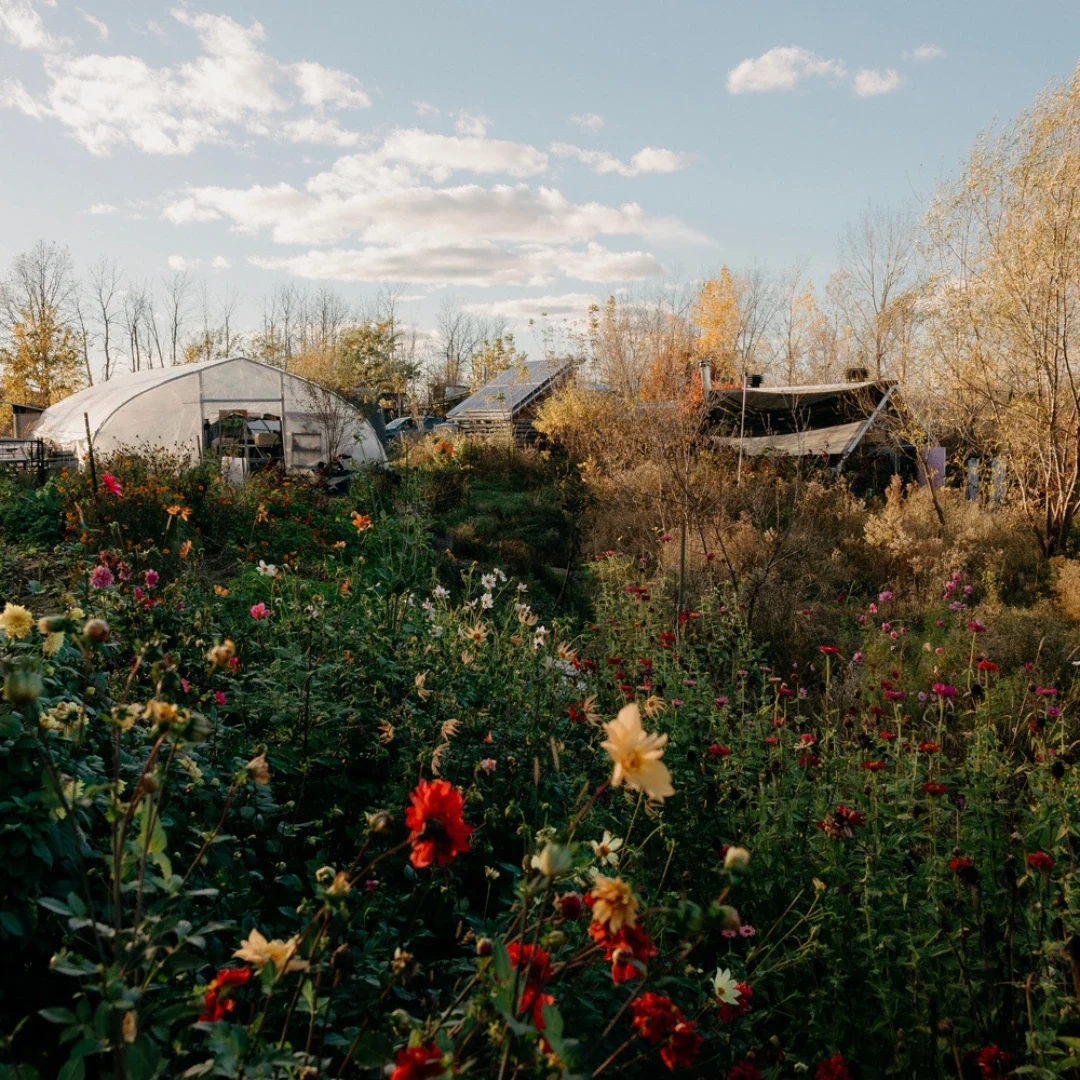 Halloween-Party-7-2023