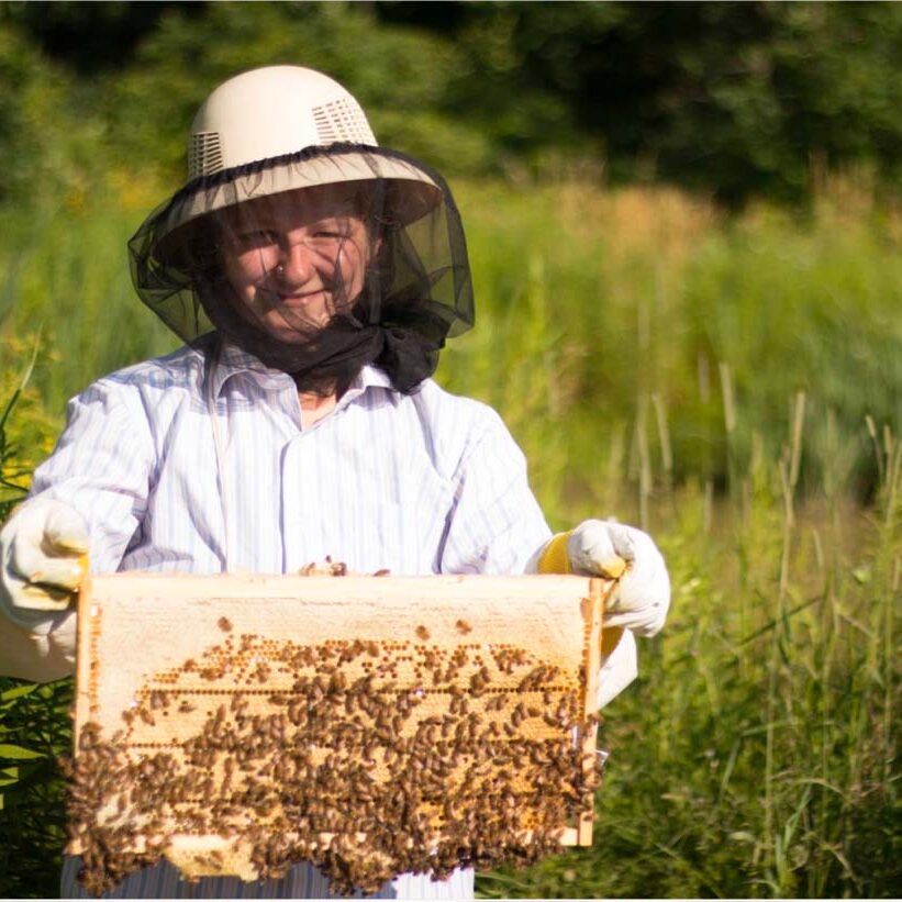 beekeeping