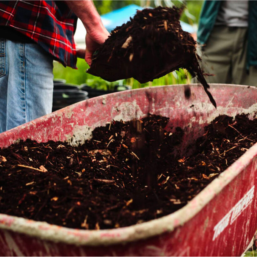 soil-diversity